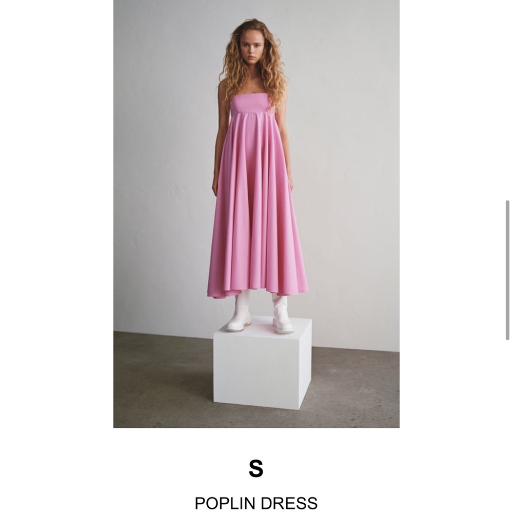 Zara dress
